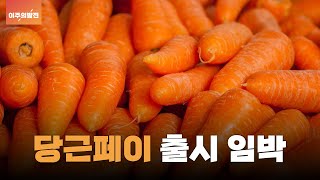 혹시 당근페이가 나온다면 당근을 흔들어주세요🥕