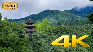 [Cinematic] Joginyorai Saiho Temple - Miyagi - 定義如来 西方寺 - 4K Ultra HD