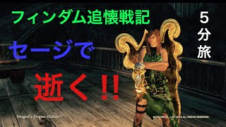 【DDON】セージで逝くフィンダム追懐戦記 4分台調教