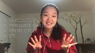 Cellular Respiration Song - That's What I Like