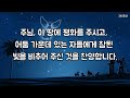 2024 성탄절 예배 대표 기도문 예수님 탄생의 기쁨을 함께 나눕니다 amazing grace