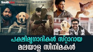 ഈ സിനിമകളില്‍ ഇവരാണ് താരങ്ങള്‍|SOUTHLIVE MALAYALAM