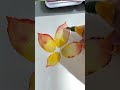 from my autumn watercolor course timelapse