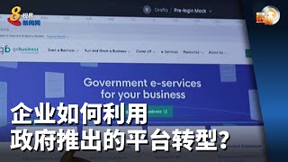 晨光|晨光聚焦：企业如何利用政府推出的平台转型？