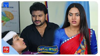 Rangula Ratnam Latest Promo - 31st August 2024 in ETV Telugu at 7:30 PM - Mallemalatv