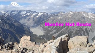 tramping the Mueller Hut Route, Aoraki/Mount Cook National Park, New Zealand - 2020/1/15-16