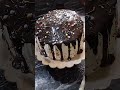 chocolate cake chocolate youtubeshorts cakerecipe