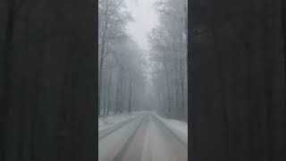 Extreme Weather Conditions in Germany 15.01.2024