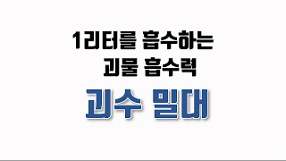 1리터를 흡수하는 괴물 흡수력! 괴수밀대