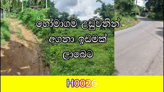 හෝමාගමින් සුපිරි ඉඩමක් ලාබෙට - Land from Homagama