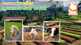 Kuntum Farmfield Bogor | Agrowisata Anak Terbaik