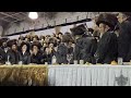 satmar rebbe r’ zalmen leib dancing at his grandson’s wedding