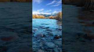 Beautiful River Sound with Relaxing Music #shorts #youtubeshorts #short #nature