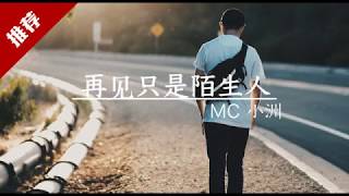 再见只是陌生人- MC 小洲 抖音神曲 【我们爱的难舍难分爱的奋不顾身 为何再见只是陌生人】