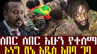 ሰበር ዜና ኦነግ ሸኔ አዲስ አበባ ገባ ጥንቃቄ ይደረግ/መንግስት በተዘረፉት መርከቦች መልስ ሰጠ/የነሽመልስ ጉድ ተጋለጠ/ethiopian news today