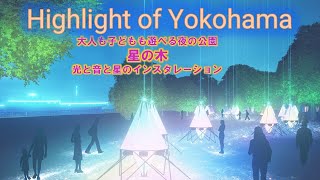 Highlight of Yokohama Star Tree　2024  【 山下公園　星の木　バージョン】