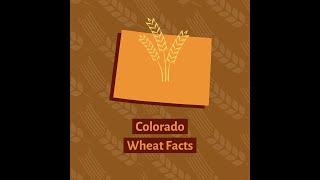 Colorado Wheat Facts