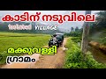 makkuvalli forest village in idukki|കാടിന് നടുവിൽ നെൽകൃഷി ചെയ്യുന്ന ഗ്രാമം കാണാം