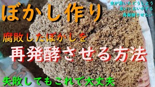 失敗しても大丈夫！腐敗した虫が湧いたぼかしを再利用させる方法