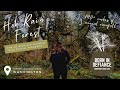 Hoh Rain Forest: Unparalleled Beauty in the Olympic Peninsula, Washington | Olympic National Park