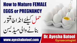 How To Mature Female Eggs | How To Improve Eggs Quality In Females Naturally