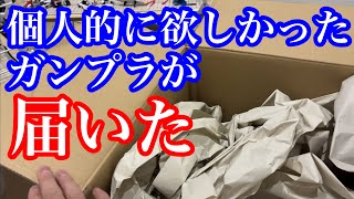 【ガンプラ】ついに念願のキットを入手！他、近況報告的な。