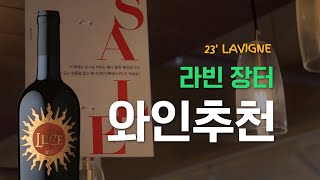 역대급 라빈 장터, 와인 추천