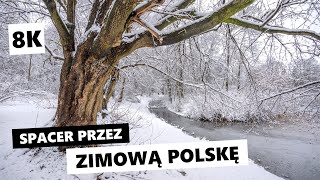 Magiczny zimowy spacer po całej Polsce [8K]