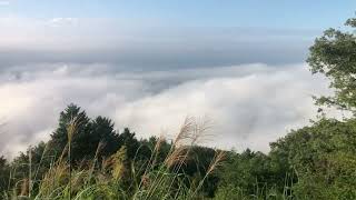 三国越林道から見る早朝の雲海（滋賀、京都、三重　県境）W400