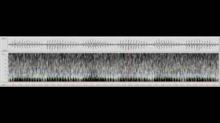 Waveform and spectrogram of a purring domestic cat