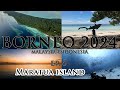 Borneo 2024 Diving trip Malaysia-Indonesia (Maratua Island) - Ep.8