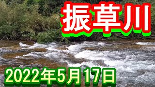 鮎釣り 5㎝高 桃源橋下 東栄役場前 本郷橋下 せきれい橋下 振草川 2022年