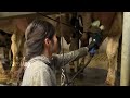 farm withme pretty girl farming cow eggs milking hoof trimming silage calf transportation farm 2022