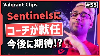 Sentinelsの現状を変えるために遂にコーチが就任!! 海外クリップ集 #55【ヴァロラント】【Valorant翻訳】