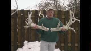 "Buck of Justice" Shed Antlers - MossBack
