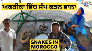 ਪੰਜਾਬੀ ਵੀਲੌਗ ਸੱਪ ਅਤੇ ਬੀਨ ਮਾਰਕੇਸ਼ ਵਿੱਚ PUNJABI VLOG IN MOROCCO ਕੀ ਇਹ ਖਤਰਨਾਕ ਹਨ | PUNJABI TRAVEL VLOG