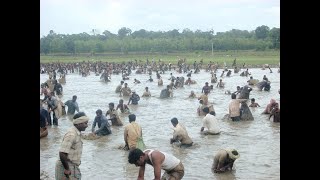 Traditional Fish hunt Kere Bhete at Soraba Talluk of Shivamogga District, Karnataka