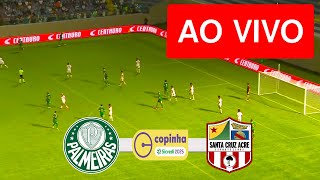 PALMEIRAS X SANTA CRUZ-AC AO VIVO (COM IMAGENS !!!) COPINHA 2025 - 2° RODADA | ASSISTA AGORA!