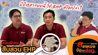 EP.4 ทำฟาร์มกุ้งต้องฟัง! สืบสวนโรค EHP ในฟาร์มกุ้ง  #สองหมอจ้อทุกเรื่อง-Special