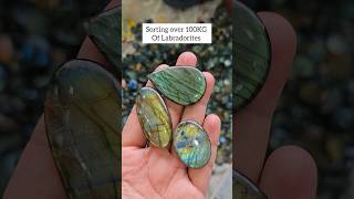 Sorting huge inventory of Labradorite Cabochons | #labradorite