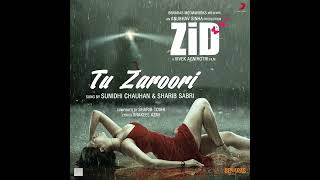 TU ZAROORI SA HAI MUJHKO ZID MOVIE FULL SONG