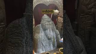 కాణిపాకం వినాయక అభిషేకం || Kanipakam