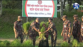 কুমিল্লায় বন্যায় ক্ষ'তিগ্রস্ত কৃষকদের মাঝে ধানের চারা বিতরণ করেন বিজিবি