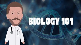 Biology 101 - Chapter 3.1 | The Chemistry of Water - Polar covalent bonds and Hydrogen bonds