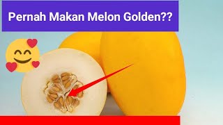 7 Manfaat Mengejutkan Makan Melon Golden/Melon Musk