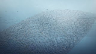 Ghost nets explained