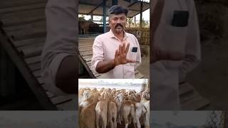 (சிறப்பான பதிவு) முழு வீடியோ லிங்க் ⤴️ full video link above #goat