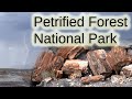 Petrified Forest National Park