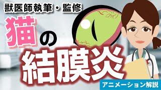 猫の結膜炎について【獣医師執筆監修】症状から治療方法まで