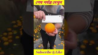 আমাকে অযথা মারলো🍊🍊 #amazonfacts